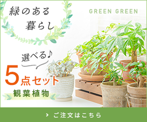 架空の観葉植物の選べるセット販促バナー