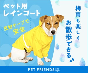 架空の犬用レインコートの販促バナー Yuri Miyanohara Portfolio Site